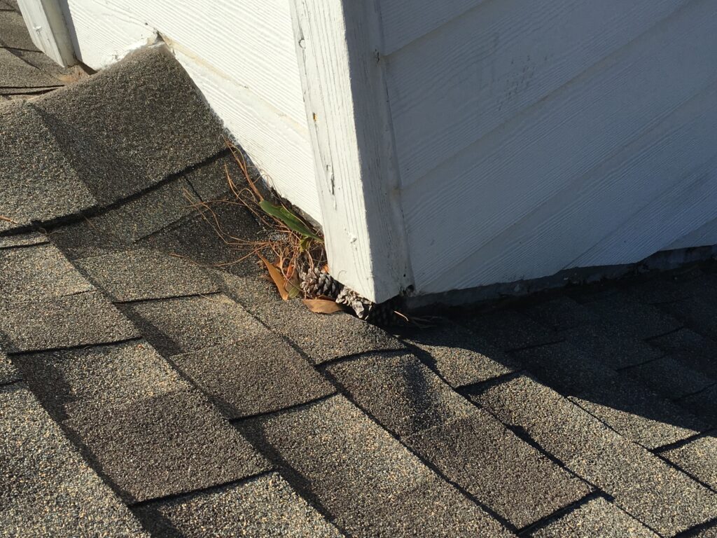 Signs Your Roof Needs Repair: A Homeowner’s Guide