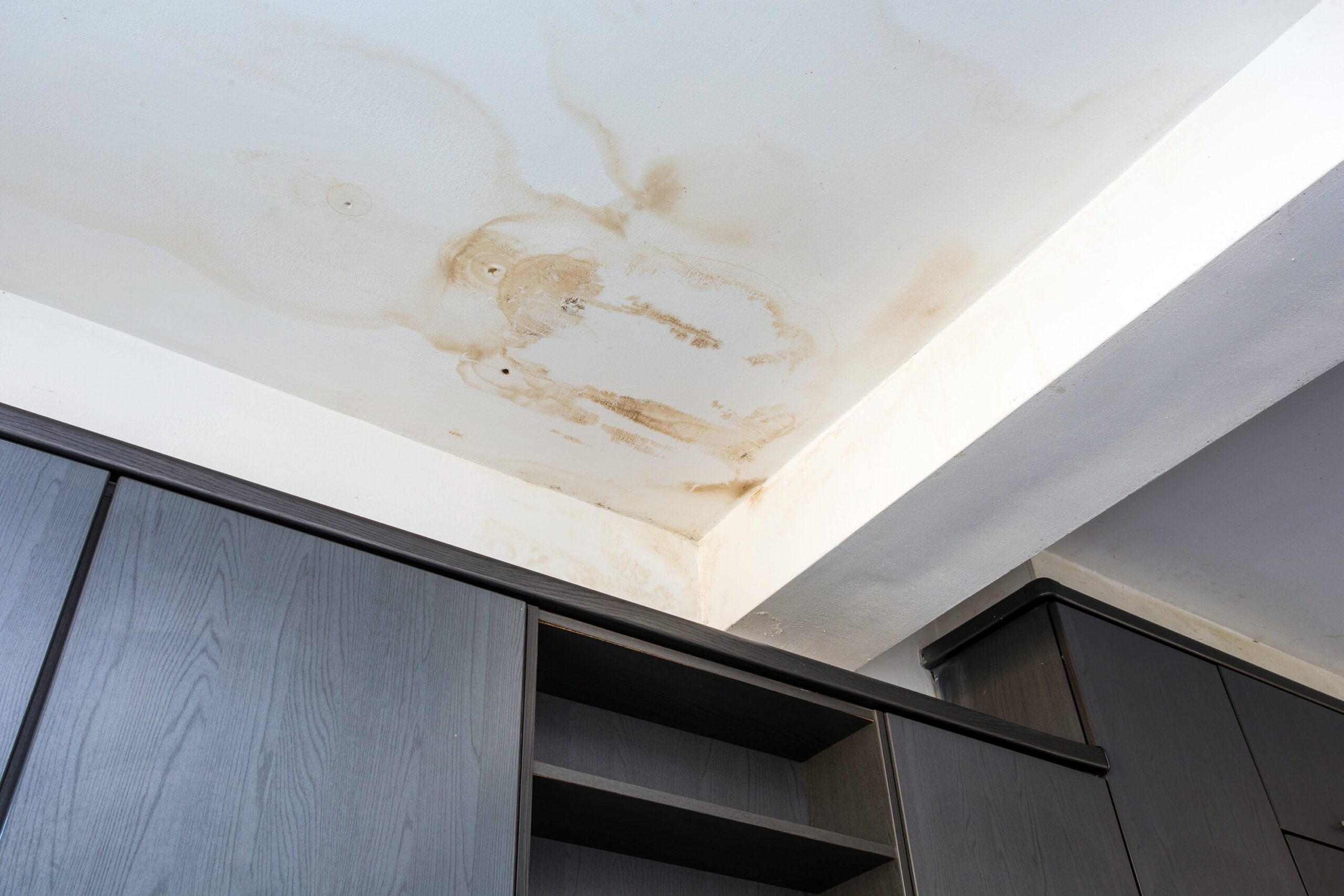 How to Spot & Prevent Roof Leaks Before They Become a Major Issue